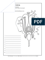 AAB Flower Anatomy Activity | PDF