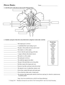 Flower Basics Worksheet for 6th - 8th Grade | Lesson Planet