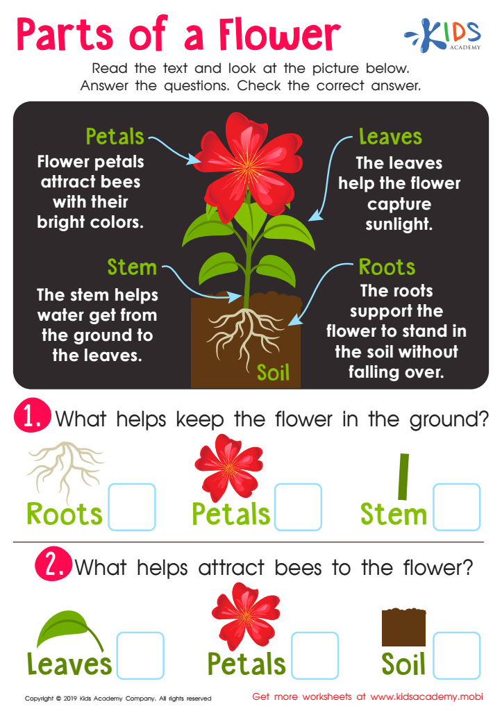 Free flower basics worksheet answers, Download Free flower basics