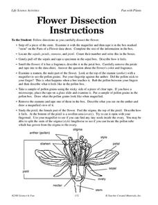 Flower Dissection Worksheet for 4th - 5th Grade | Lesson Planet