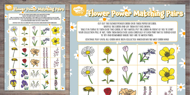 Flower Power Pairs Matching Game Printable | Twinkl Party