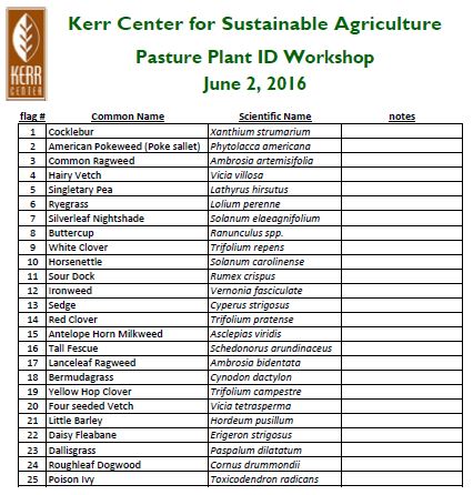 Plant Identification Worksheet - Kerr Center