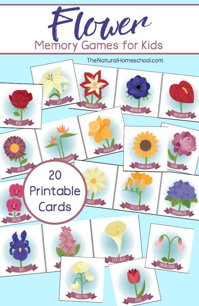 Free Flower Matching Game Printable - The Natural Homeschool