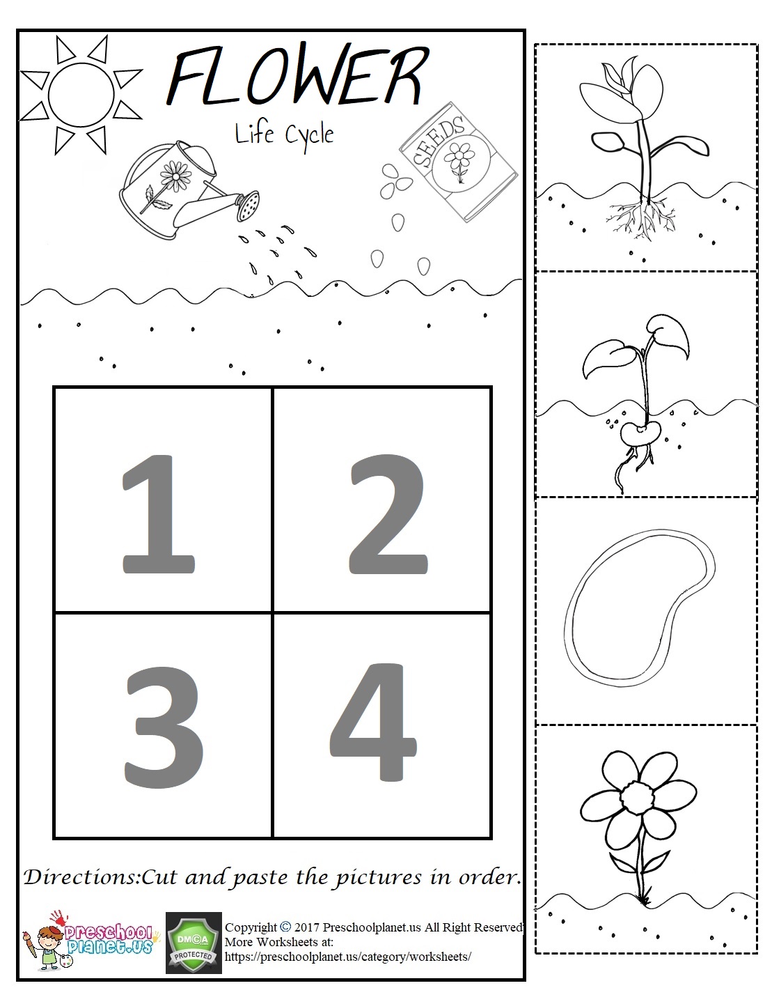 flower worksheet preschool