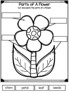 ? FREE Printable Flower Worksheets for Preschool and Kindergarten