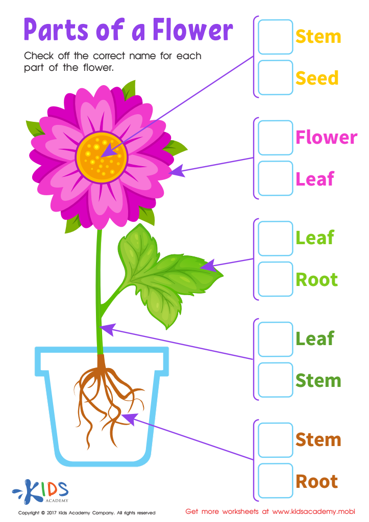 Parts Flower Printable: Free Worksheet PDF for Kids
