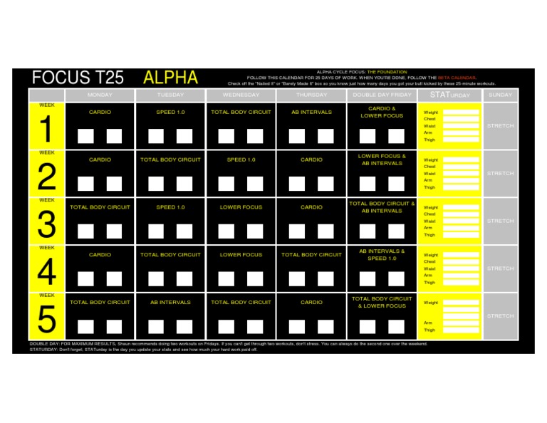 Focus T25 T25-Alpha PDF | PDF | Sports