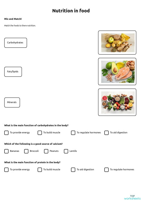 food and nutrition worksheet