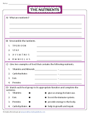 food and nutrition worksheet