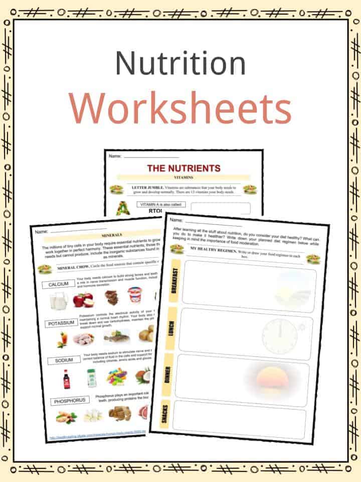 food and nutrition worksheet