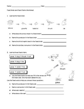 food chain and food web worksheet answers