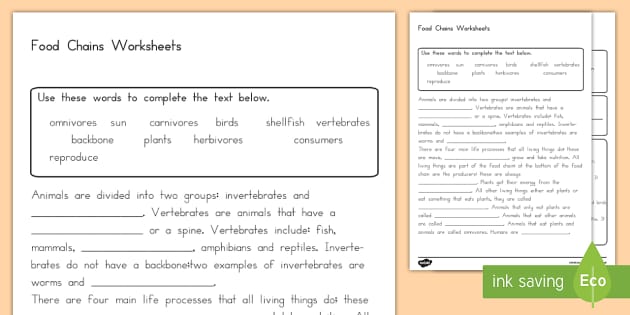 food chain and food web worksheet