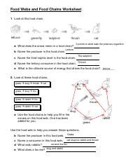 food chain and food web worksheet