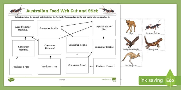 food chain food web worksheet