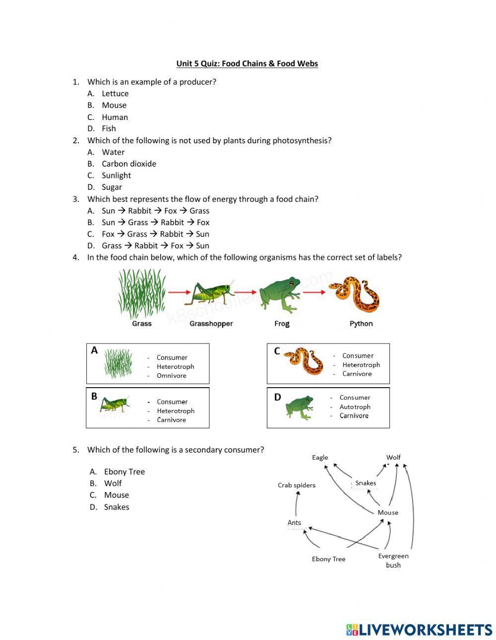 Food Chain & Food  Quiz worksheet Live Worksheets Worksheets Library