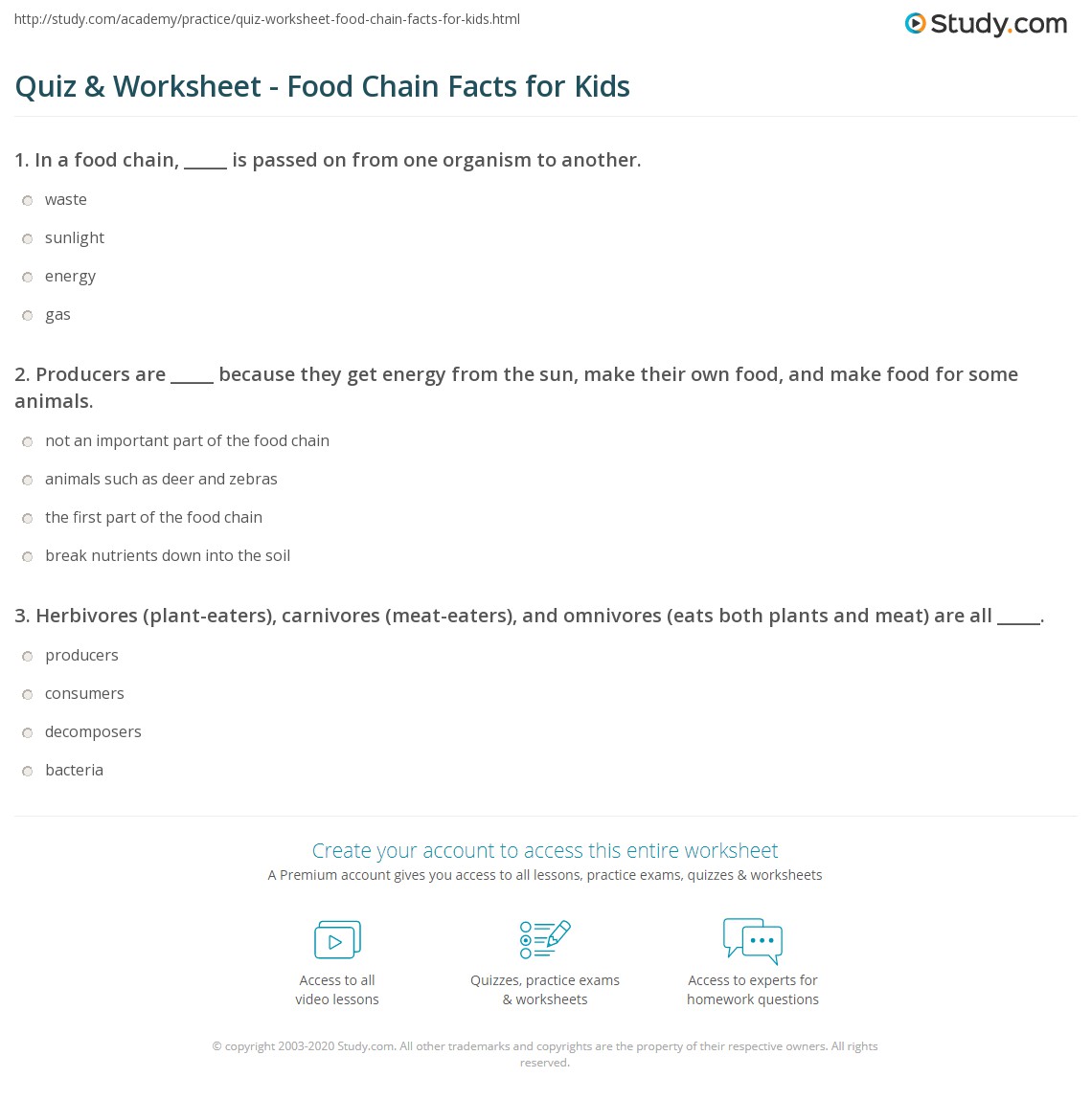 food chain quiz worksheet