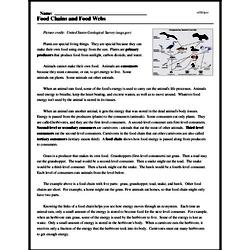 food chain reading comprehension worksheet