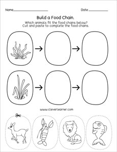 food chain worksheet 1 a