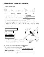 food chain worksheet 1 a