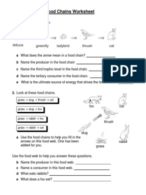 Food Webs and Food Chains Worksheet PDF | PDF