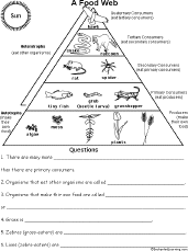 Food Web - Information and Questions Worksheet: EnchantedLearning.com