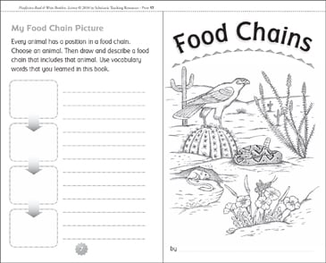 Food Chains &  Food Webs Worksheets &  Printable Activities for Kids ...