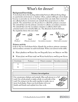 food chain worksheet pdf