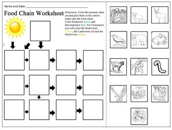 food chain worksheet