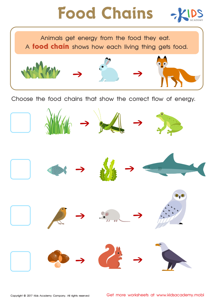 food chains and webs worksheet