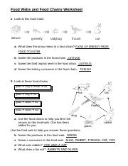 FoodWebsandFoodChainsWorksheet-KEY-11dbru5.doc - Food Webs and ...