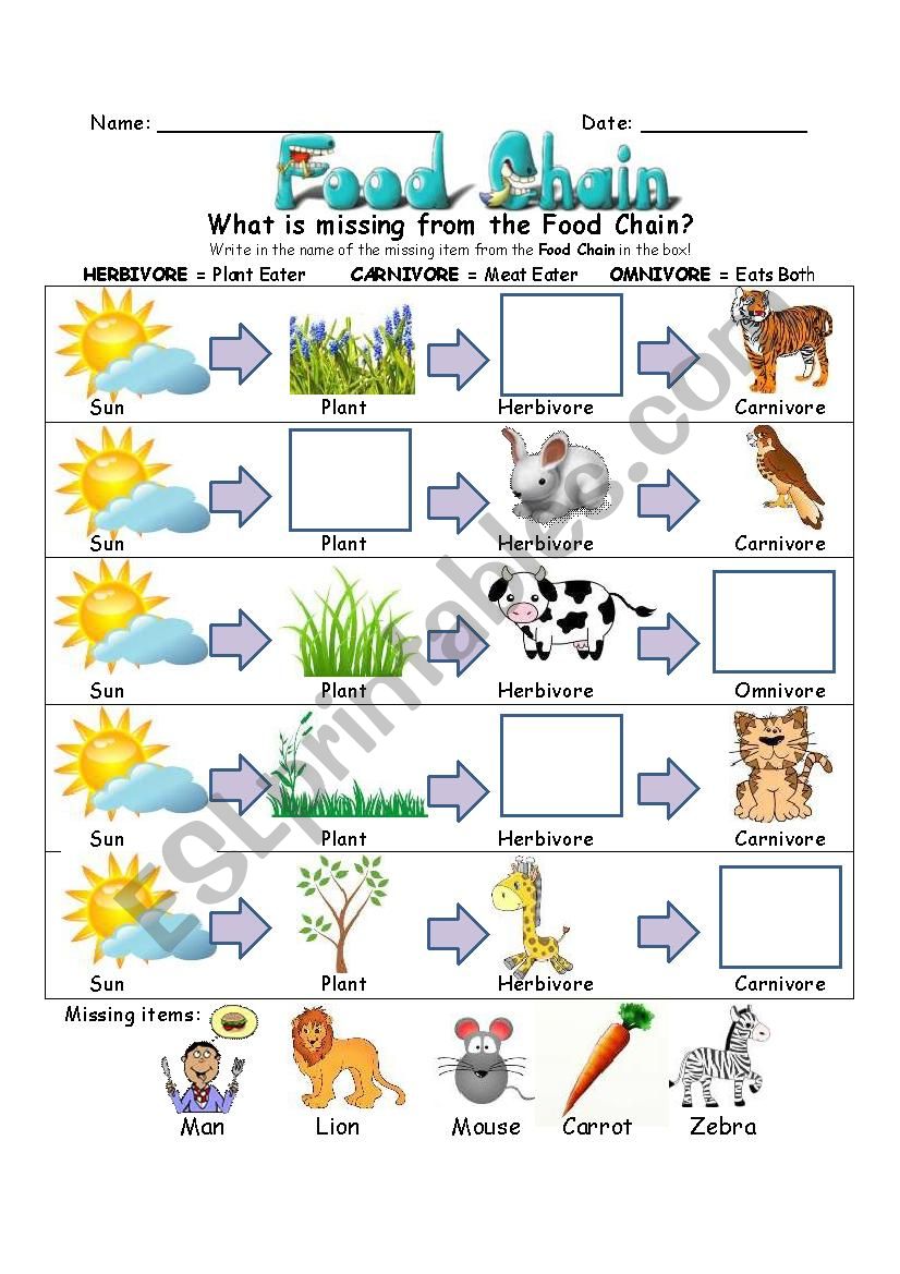 Food Chain Worksheet - ESL worksheet by SlvrWolf