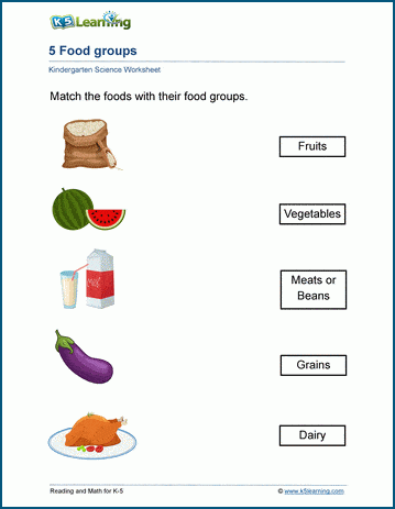food groups worksheet for grade 1