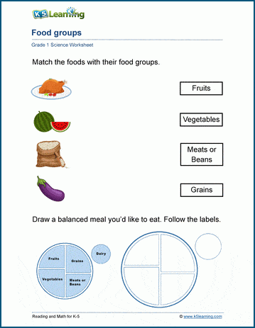 Food Groups Worksheet | Worsheets library