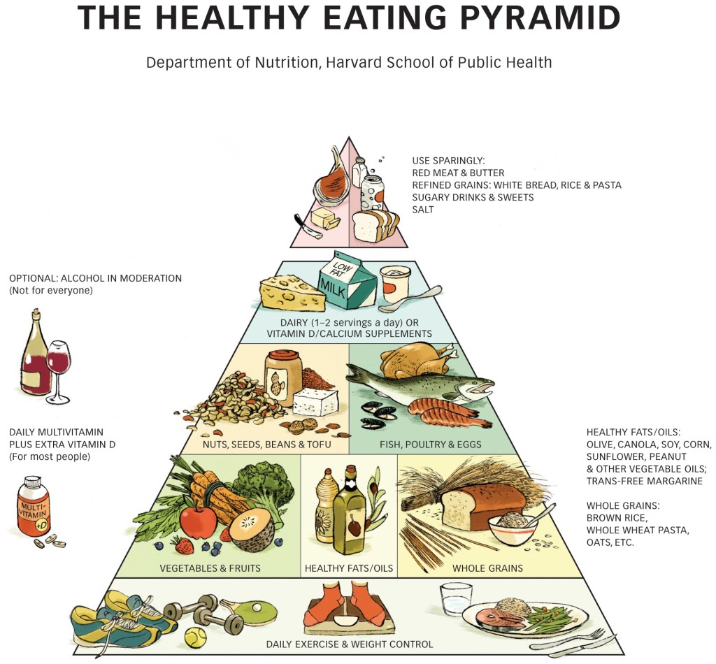 food guide pyramid worksheet