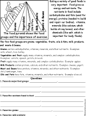 Food Pyramid Read and Answer Worksheet - EnchantedLearning.com