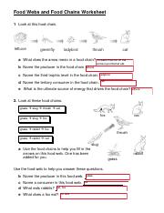 food web 2 worksheet answers