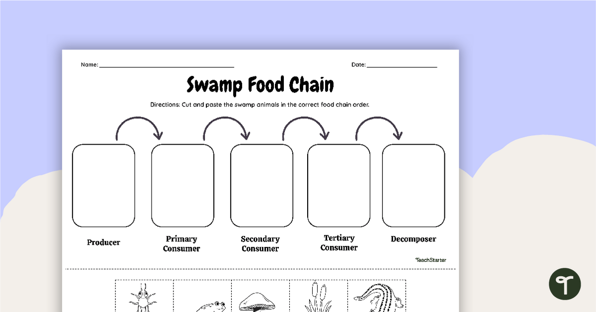 Swamp Food Chain - Cut and Paste Worksheet | Teach Starter