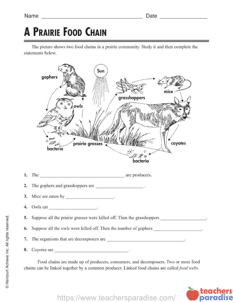 A Prairie Food Chain by Harcourt Achieve Inc - TeachersParadise