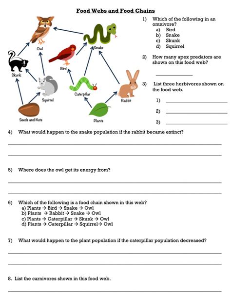 food web worksheet answers