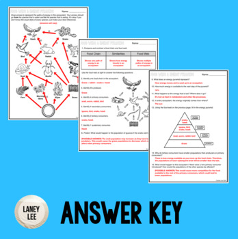 food web worksheet answers