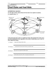 food web worksheet pdf