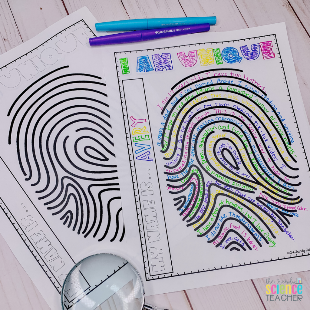 forensic worksheet for high school