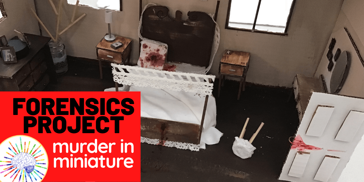 forensic worksheet for high school