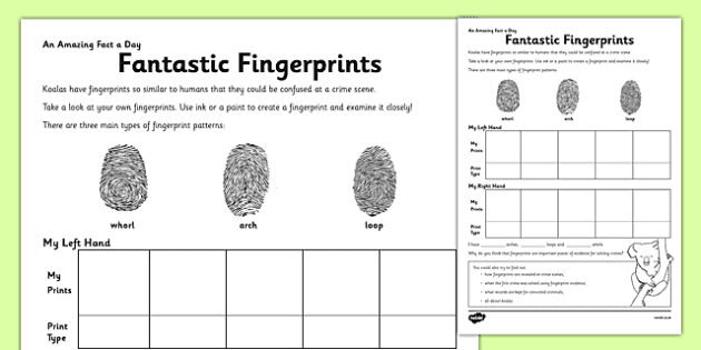 Fantastic Fingerprints Worksheet / Worksheet (teacher made)