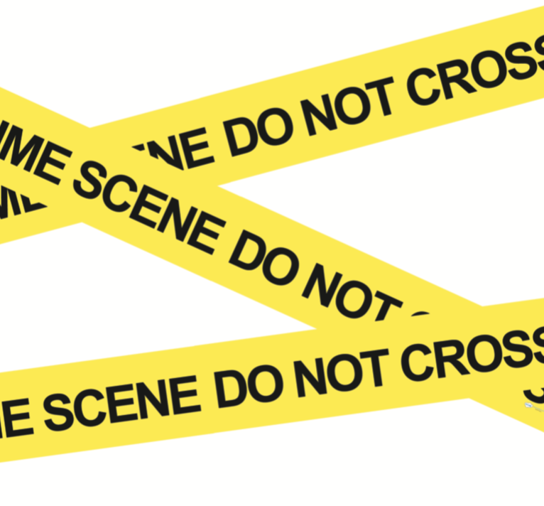 forensics for kids worksheet