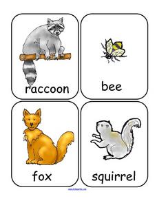 Forest Habitat Lesson Plans &  Worksheets | Lesson Planet