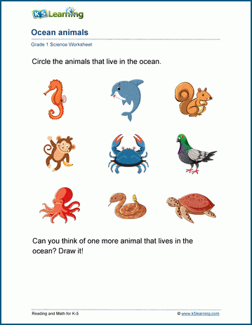 Ocean, forest and other habitats | Worsheets library