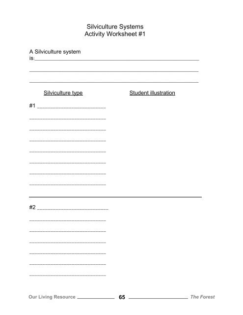 Silviculture Systems Activity Worksheet #1 - Learn Forestry