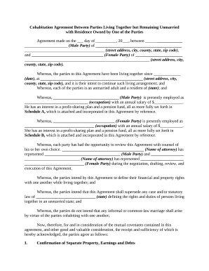 form 982 insolvency worksheet