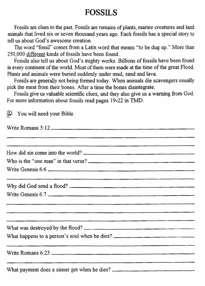 Fossils Worksheet (Kids Quiz Activity) | Kids Answers